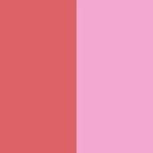 Duet Baked Blush - Image 28