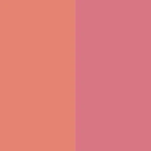 Duet Baked Blush - Image 29
