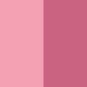 Duet Baked Blush - Image 30