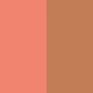 Duet Baked Blush - Image 31