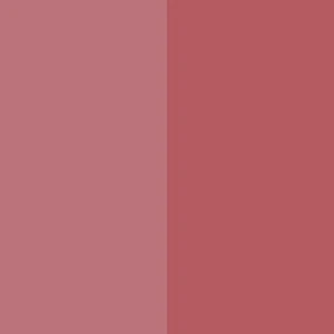 Duet Baked Blush - Image 32